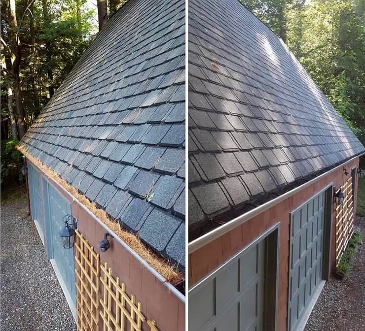 Gutter Cleaning