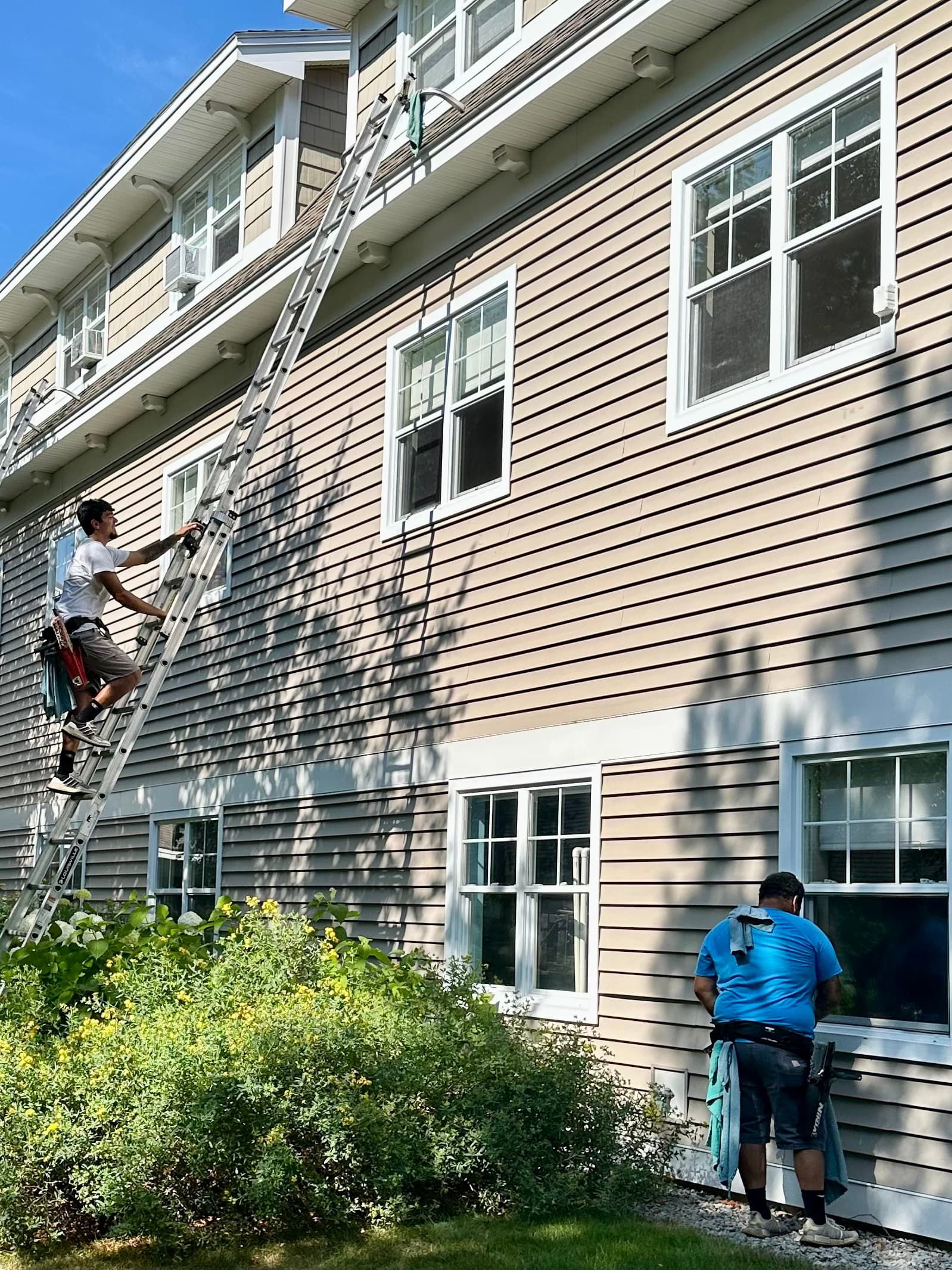Window Cleaning gallery 2