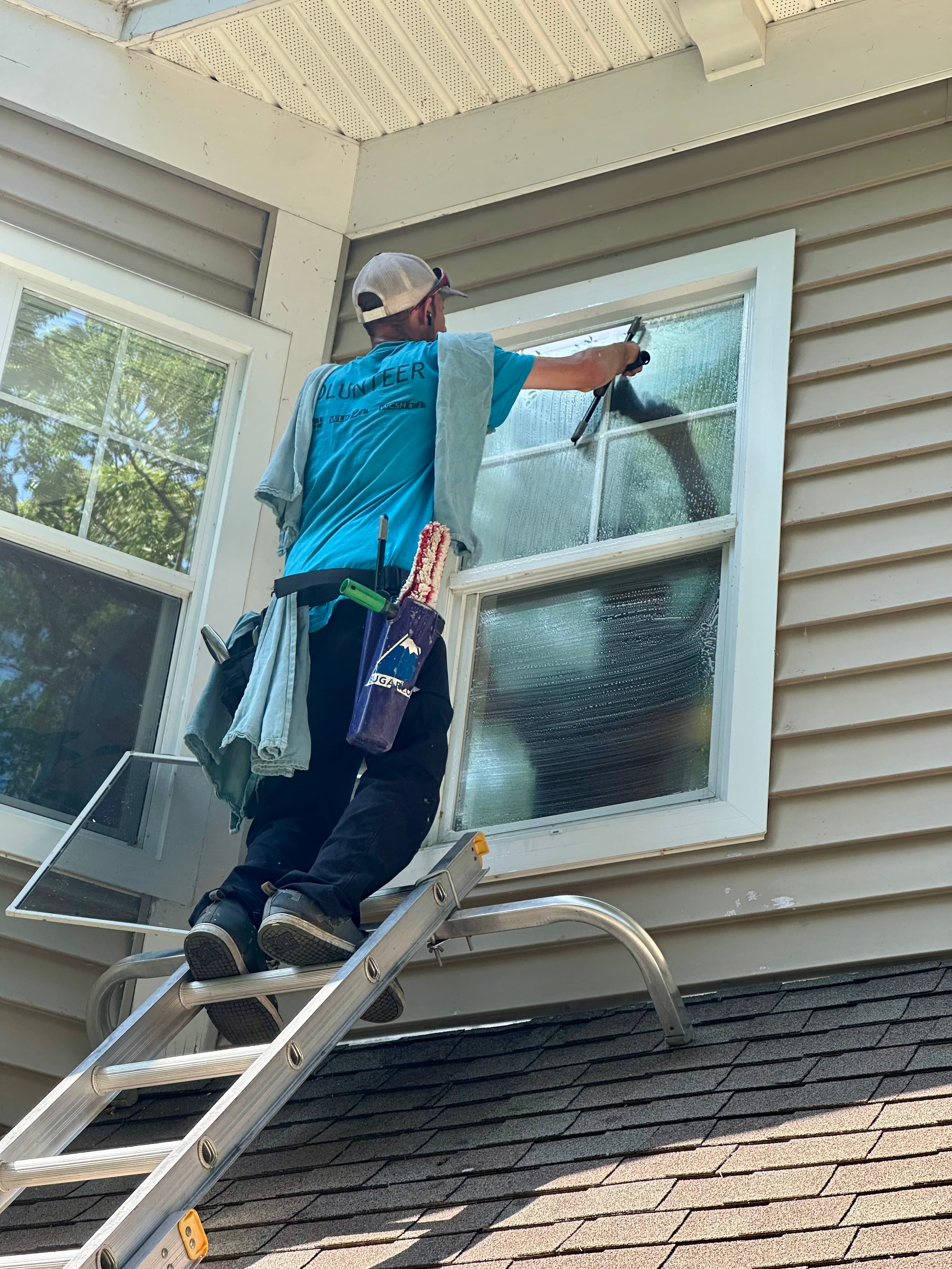 Window Cleaning gallery 3